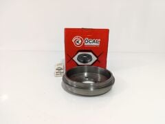 Arka Kampana Palio Siena