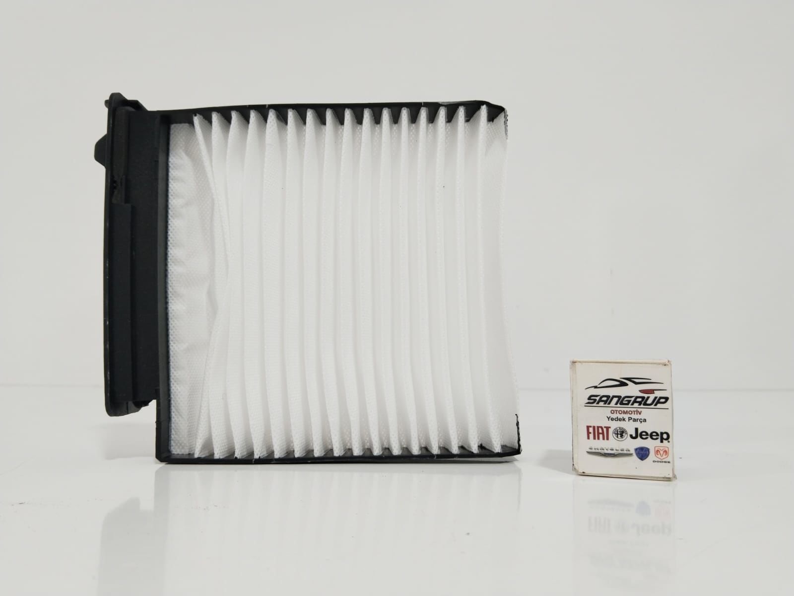 Polen Filitresi | Clio 3 Duster 1 Sandero 1 (2008-2012)
